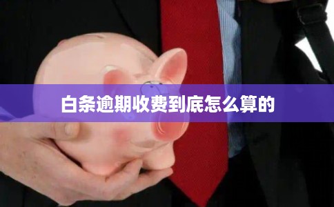 白条逾期收费到底怎么算的 白条逾期收费到底怎么算的