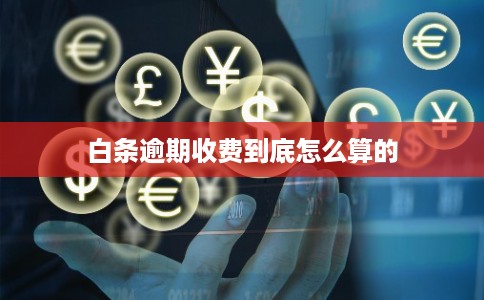 白条逾期收费到底怎么算的 白条逾期收费到底怎么算的