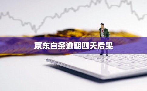 京东白条逾期四天后果 京东白条逾期四天后果
