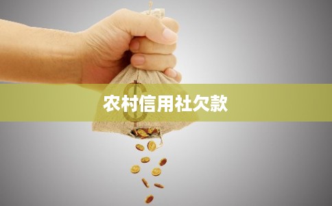 农村信用社欠款 农村信用社欠款