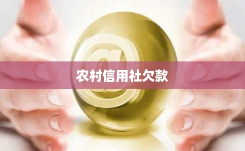 农村信用社欠款 农村信用社欠款