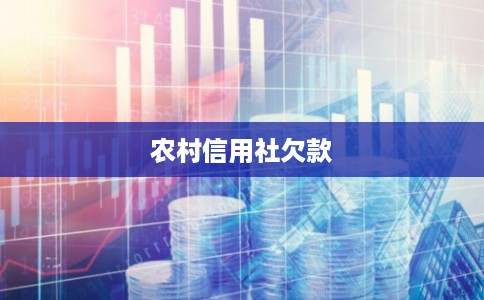 农村信用社欠款