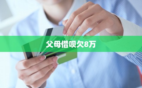 父母借呗欠8万