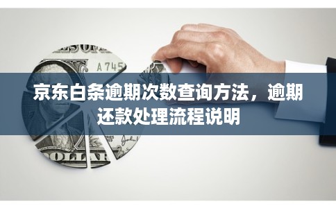 京东白条逾期次数查询方法,逾期还款处理流程说明 京东白条逾期次数查询方法,逾期还款处理流程说明
