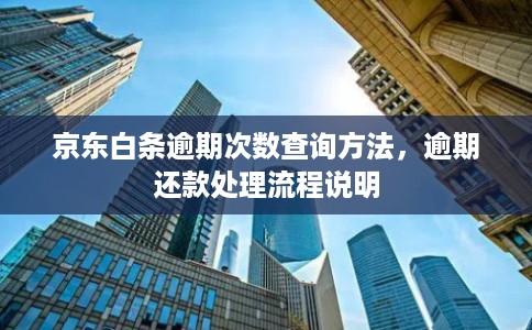 京东白条逾期次数查询方法,逾期还款处理流程说明