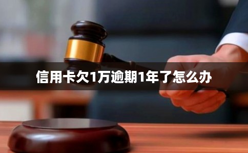 信用卡欠1万逾期1年了怎么办 信用卡欠1万逾期1年了怎么办