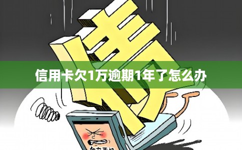 信用卡欠1万逾期1年了怎么办