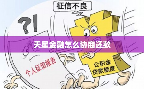 天星金融怎么协商还款