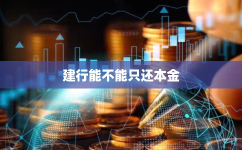 建行能不能只还本金