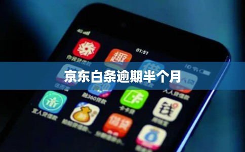 京东白条逾期半个月
