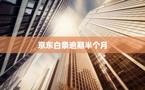 京东白条逾期半个月