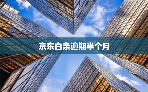 京东白条逾期半个月