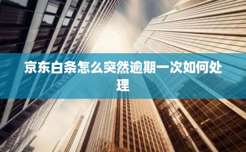 京东白条怎么突然逾期一次如何处理