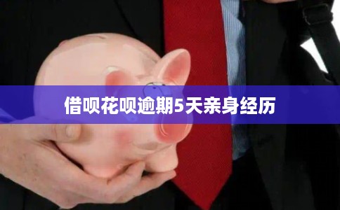 借呗花呗逾期5天亲身经历