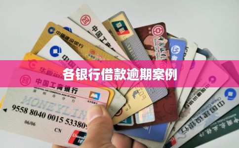 各银行借款逾期案例