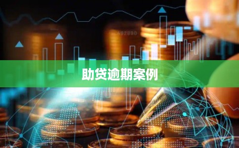 助贷逾期案例