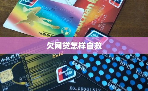 欠网贷怎样自救