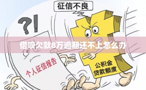 借呗欠款8万逾期还不上怎么办