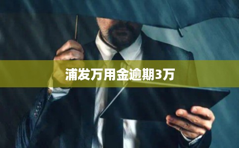 浦发万用金逾期3万 浦发万用金逾期3万