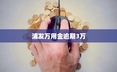 浦发万用金逾期3万 浦发万用金逾期3万
