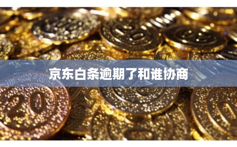 京东白条逾期了和谁协商