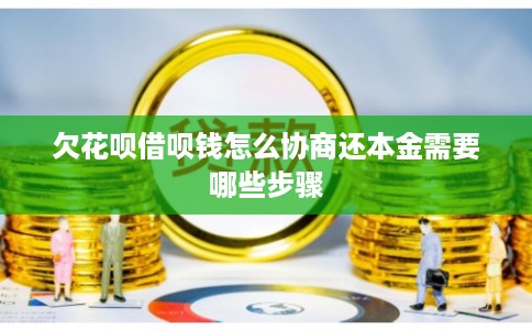 欠花呗借呗钱怎么协商还本金需要哪些步骤