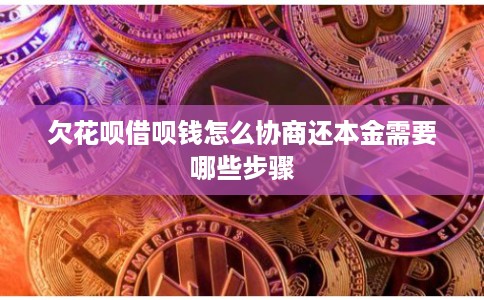 欠花呗借呗钱怎么协商还本金需要哪些步骤