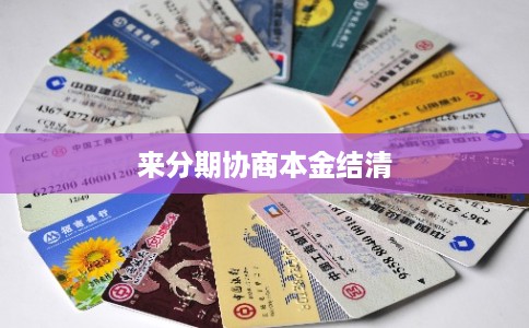 来分期协商本金结清