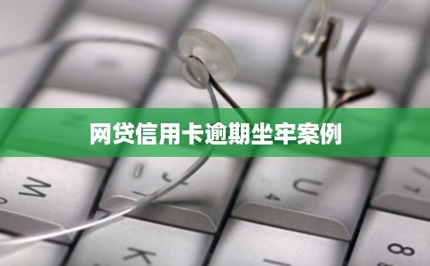 网贷信用卡逾期坐牢案例