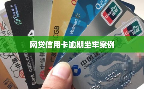 网贷信用卡逾期坐牢案例