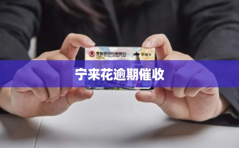 宁来花逾期催收