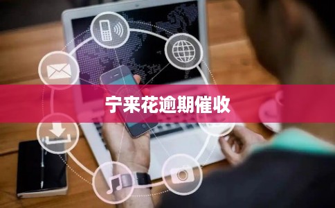 宁来花逾期催收