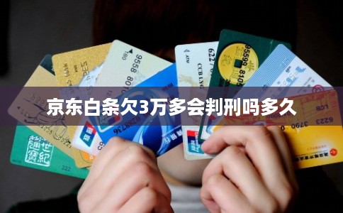 京东白条欠3万多会判刑吗多久