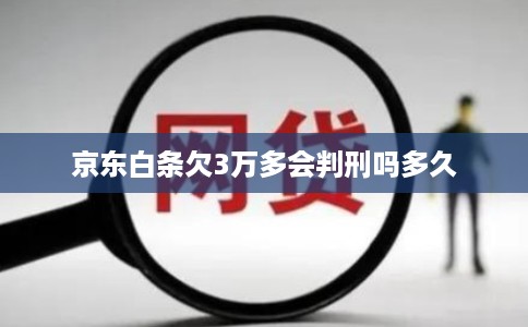京东白条欠3万多会判刑吗多久