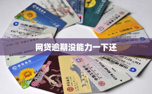 网贷逾期没能力一下还 网贷逾期没能力一下还
