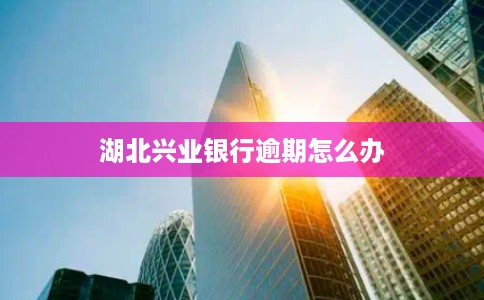湖北兴业银行逾期怎么办