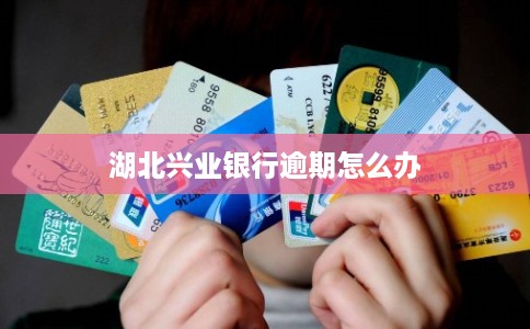 湖北兴业银行逾期怎么办