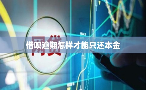 借呗逾期怎样才能只还本金