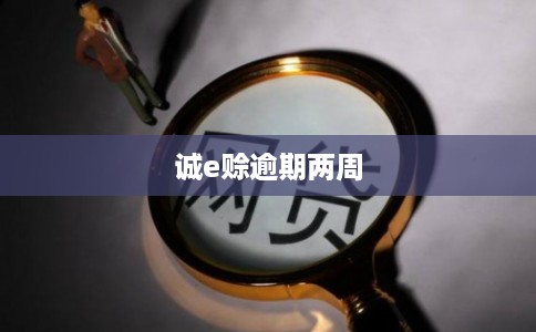 诚e赊逾期两周