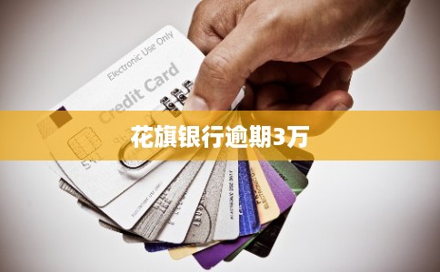 花旗银行逾期3万
