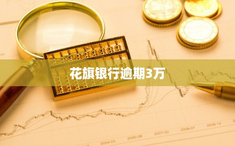 花旗银行逾期3万
