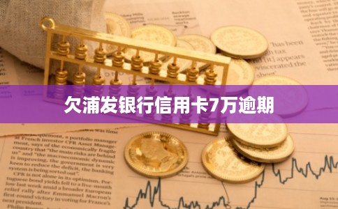 欠浦发银行信用卡7万逾期