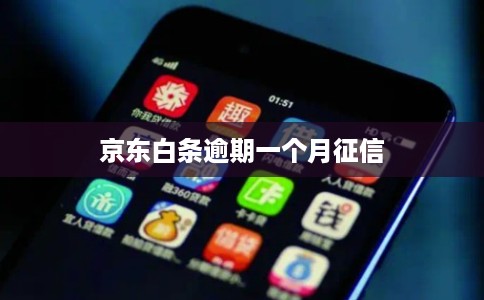 京东白条逾期一个月征信