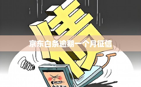 京东白条逾期一个月征信