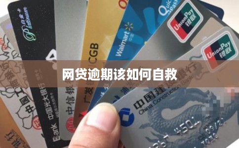 网贷逾期该如何自救