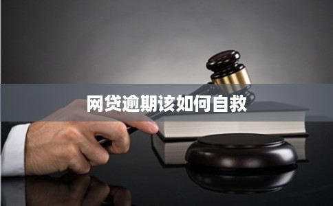 网贷逾期该如何自救