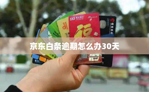 京东白条逾期怎么办30天