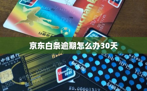 京东白条逾期怎么办30天