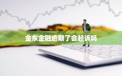 金东金融逾期了会起诉吗