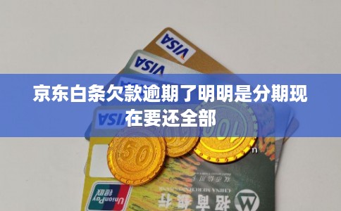 京东白条欠款逾期了明明是分期现在要还全部
